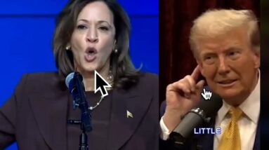 Trump lets it slip on Rogan that Neither he Nor Kamala can save You + Haystacks Calhoun