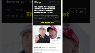 Fifteen Dems Just Gave Trump a Big Gift