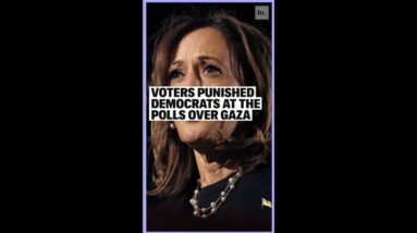 Voters Punished Democrats At the Polls Over Gaza