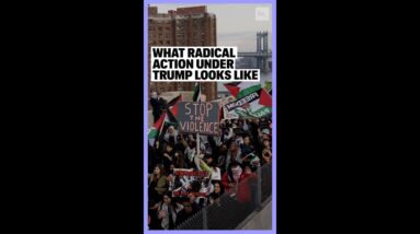 What Radical Action Under Trump Looks Like