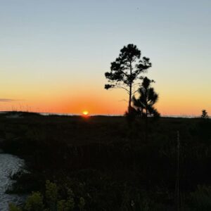 When It's thanksgiving and you're the Turkey