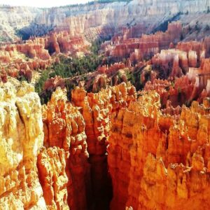 Day After Christmas & Aaron Rodgers Enigma