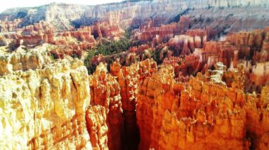 Day After Christmas & Aaron Rodgers Enigma