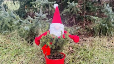 Xmas eve Moon Movie + Matt Gaetz + Phi slama jamma+ Kim K demonic Xmas