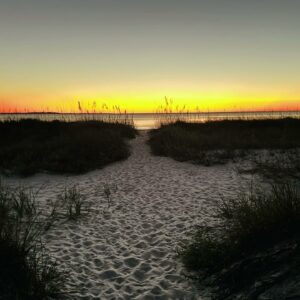 Upcoming Online Meditation Gathering Febuary 2025