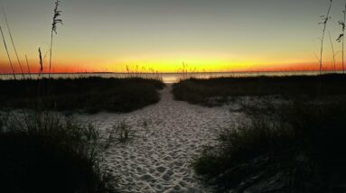 Upcoming Online Meditation Gathering Febuary 2025