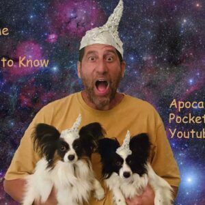 What if my dream about Jesus was Real