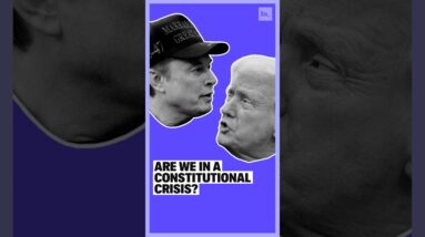 Are We In a Constitutional Crisis?  #politics #trump #elonmusk