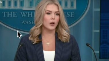 Today's word is Fraud