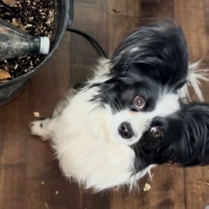 Alec & Hilaria Relationship Reveal + Who pinched Don Lemons Nips + Eggs and Hens