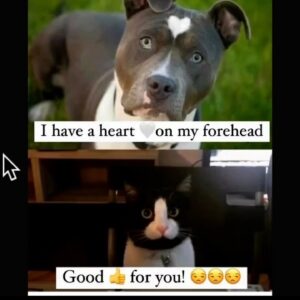 Spring is upon us and to is Stupidity & Evil