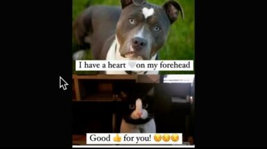 Spring is upon us and to is Stupidity & Evil