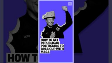 How To Get Republicans To Break Up With MAGA #trump #elonmusk #politics