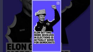 Elon Musk Getting More Involved In Elections Is Actually Good For Democrats #politics #elonmusk