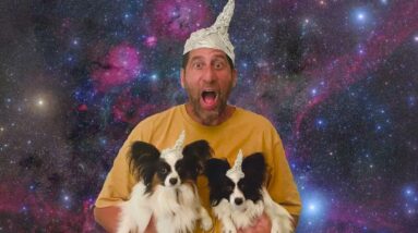 Wait you think the my not taking the election Seriously is why Trump is President