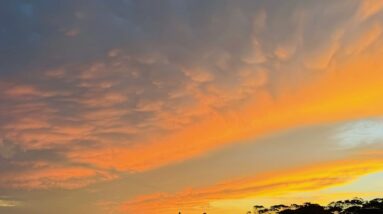 She Hold the hand that hold her Down & They're making you into Bubbleboy