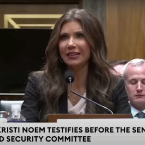 Wow Trump is really really Stupid