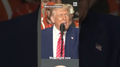 Democrats Hate Their Own Party. The People Can Take It Back.  #politics #trump