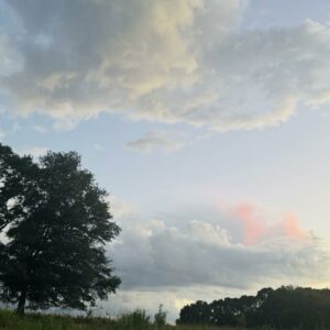 Why the Ego holds our souls Hostage & Why Power grings ou the worst in People