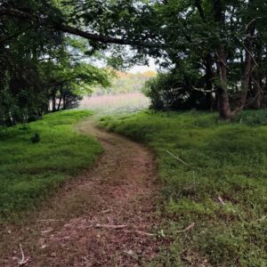 Possiblity of a Pockets of the Future Community