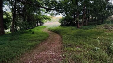 Possiblity of a Pockets of the Future Community