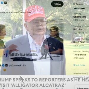 Trump VS Musk over BBB by DumbF#cks for DumbF#cks