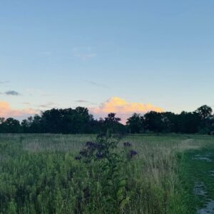 Upcoming Meditation Gathering July 2025