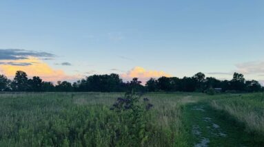 Upcoming Meditation Gathering July 2025