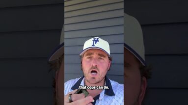 Chaos On New York’s Streets, Brought To You By the NYPD