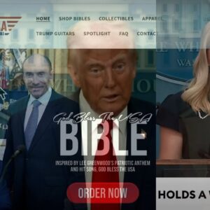 CNN finally reports on Trump being on Epstein Flight Log & line of BS