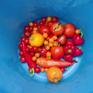 Important things nobody wants to Know