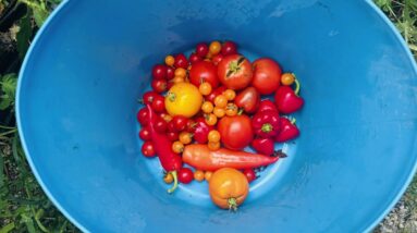 Important things nobody wants to Know