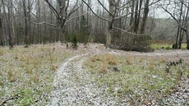 Pockets of the Future community Update