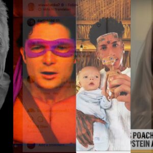 They are harvesting Stupidity