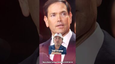 This Judge WENT OFF On The Trump Administration's Targeting Of Pro-Palestine Speech #politics