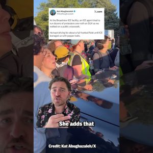 Trump’s DOJ Charged This House Candidate With Conspiracy For Protesting ICE  #politics #trump