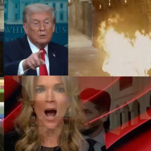 Candace Melania shill Nightmare + Trump is a 5 star alarm + U still think Libs R the Problem?