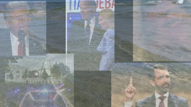 Collapse of the Debatch Human & Rise of An evovled Decendants