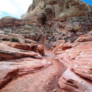 Journey 267
