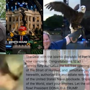 BIbi Goys Trump on Iran Deal & donnie doesn't like it + UFC WH debackle