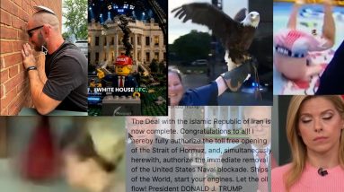 BIbi Goys Trump on Iran Deal & donnie doesn't like it + UFC WH debackle