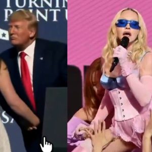 Look Gramdma is Twerking & Grandpa is Groping + Charlie Sheckels Revisited