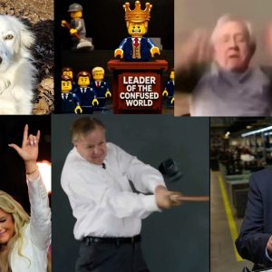 Lindsey Graham Proves T@int licking is Fatal + I am I a Nihilist or RU a Weak POS