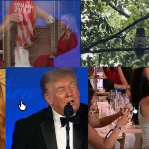 Trump has Biden Like Meltdown at WH corespondance Dinner & it is so cringe