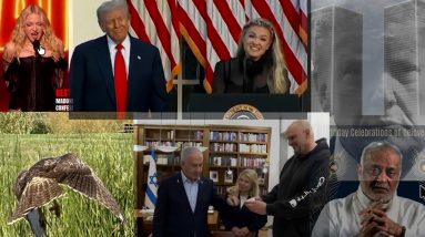 If U haven't figured it out yet trump is the Deep State + Madonna Keisters for Attention